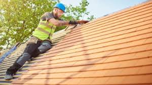 Best Roof Moss and Algae Removal  in Parma, OH